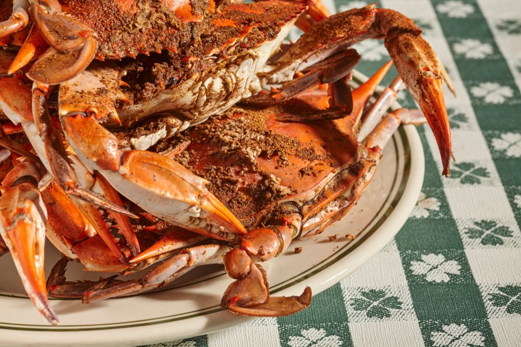 steamed female Maryland blue crabs