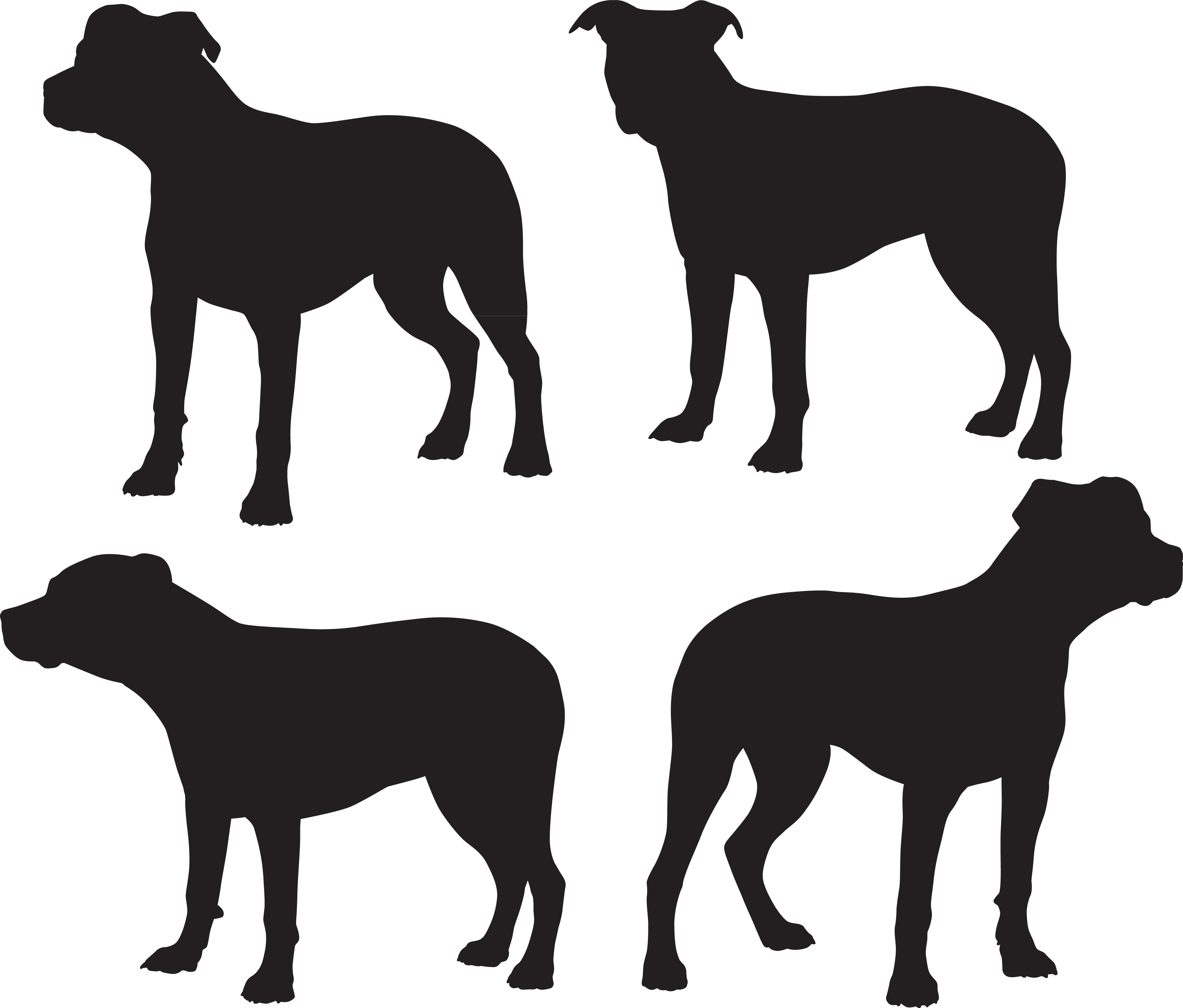 Pit Bull Silhouettes