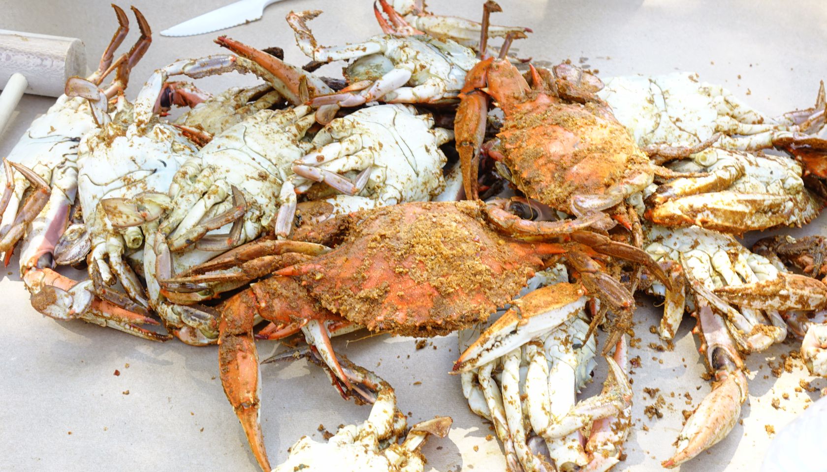 Steamed Crabs