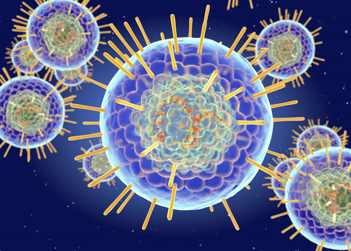 Herpes Simplex virus structure, illustration