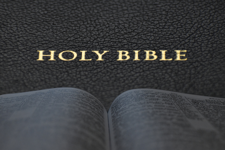 Holy Bible - An Open Book