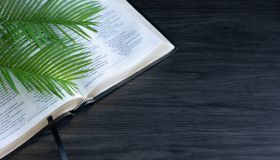 Open bible and palm leaves