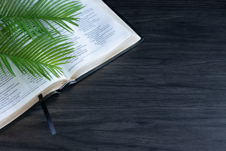 Open bible and palm leaves