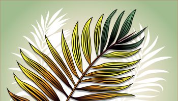 Palm Sunday holiday card, poster with palm leaves