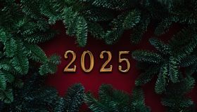 New Year 2025. Happy New Year. Christmas holiday. Numbers of the New Year 2025 on a plain background with Christmas tree branches. Festive background.